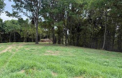 12 Acres Bunker Hill Road, Pulaski, TN 38478