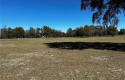 NW 464B, MORRISTON, FL 32668