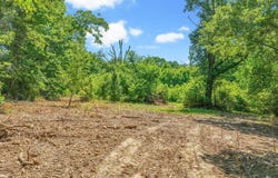 4.7 acres(Lot 1) of 16106 Boundary Line  RD, Garfield, AR 72732