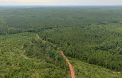 2 Lower Lumpkin Road, Georgetown, GA 39854
