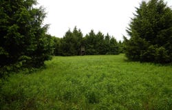 Cheningo Solon Pond Road, Cincinnatus, NY 13040