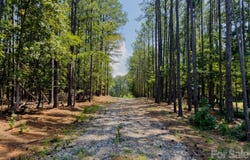 955 Cole Trestle Road, Blair, SC 29015