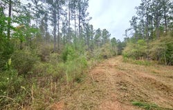 0 COUNTY ROAD 22, Headland, AL 36345