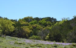 1167 KC 311, Junction, TX 76849