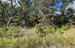 6 Woodland Heights W, Poplar Bluff, MO 63901