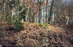 2076 Highway 138, Monroe, GA 30655