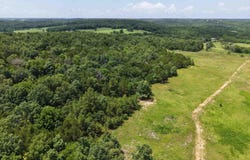 38A Honeysuckle Lane, Wiseman, AR 72587