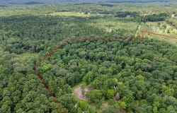 751 An County Road 156, Palestine, TX 75801