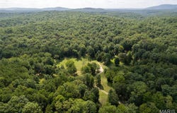 2168 State Hwy 49, Piedmont, MO 63957