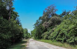 TBD Phillips Street, Lexington, TX 78947