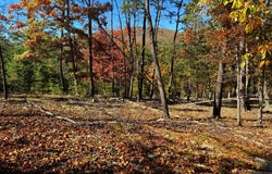 PETERSBURG PIKE, PETERSBURG, WV 26847