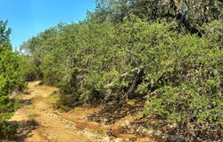 CR 353, Barksdale, TX 78828
