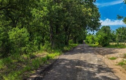 604 (tract 1) County Road 3561, Dike, TX 75437