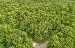 Forest Trail Drive lot: 6, Turner, ME 04282