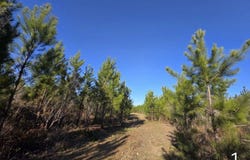 0 Chipola Rd, Slocomb, AL 36375