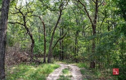 Jackson Ln, Bromide, OK 74530