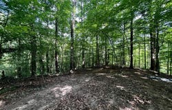 4337 MAYTOWN CHURCH ROAD, MAYTOWN, AL 35118