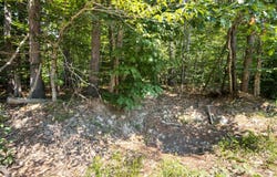 Pike Lane, Tamworth, NH 03886