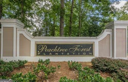 907 Peachtree Forest Terrace, Peachc, GA 30092