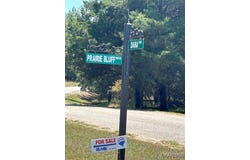 3 Prairie Bluff Drive, Catherine, AL 36728