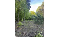 Parcel 8 Karnes Road, Glen Arbor, MI 49636