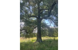 Tract 3  Highway 83, Howe, OK 74940