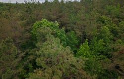 Beechwood Drive, Grenada, MS 38901