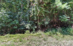 512 Kenway Loop, Mooresville, NC 28117