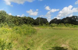 Mountain Road, Coloma, MI 49038