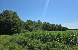 00 County Road F, Chetek, WI 54728