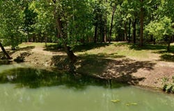 00 E Honobia Loop, Honobia, OK 74549