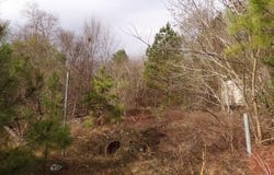 E 22nd Ave, Phenix City, AL 36867