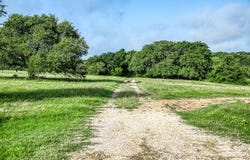 Tract 4 South Nassau Road, Round Top, TX 78954