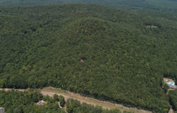 127.96 Ac Johnson Mill, Hamilton, GA 31811