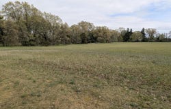 Sikkenga Road, Montague, MI 49437