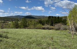 137 Cimarron Rd, Red Feather Lakes, CO 80545