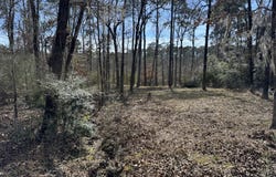 477 PR 7830, Broaddus, TX 75929
