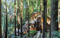 550 Edgewood Avenue, Mill Valley, CA 94941