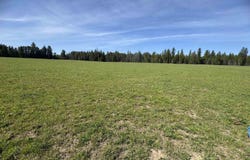 29210 N Spotted Rd, Deer Park, WA 99006