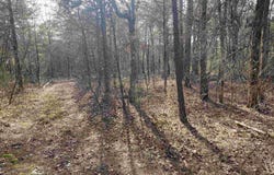 400 Tree Farm Road, Melbourne, AR 72556