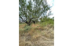 837 S Camp, Uvalde, TX 78801