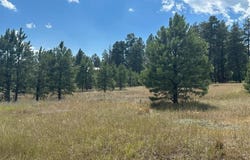 272 Hills Circle, Pagosa Springs, CO 81147