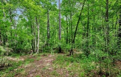 5700 FM 2497, Lufkin, TX 75904