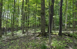 CR-48, Ellery, NY 14701