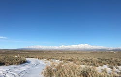 Lot 8 Ranchos Orchard, Ranchos de Taos, NM 87557