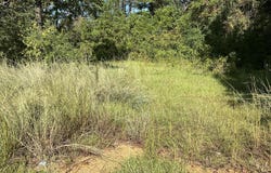 Highway 24, Liberty, MS 39645