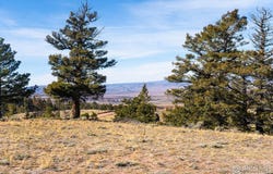 Wilderness Ranch Rd, Red Feather Lakes, CO 80545