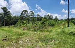 11355 Gurney Rd, Baker, LA 70714