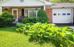 9936 PLEASANT VIEW DR, NEW MARKET, VA 22844