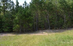 42 Asbury Church Road, Sanford, NC 27330